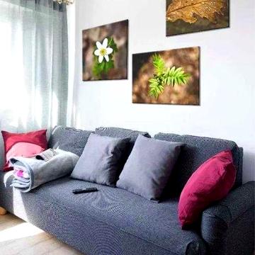 Оренда 1-к, Голосіївський район, метро Деміївська, пров. Ясинуватський