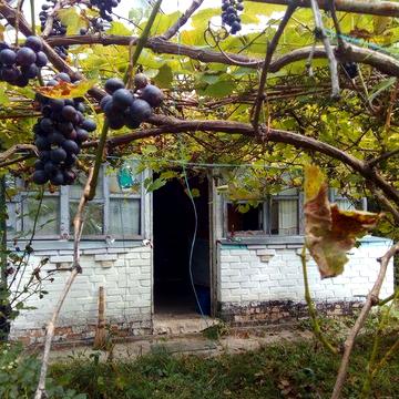 Дача под Фастовом