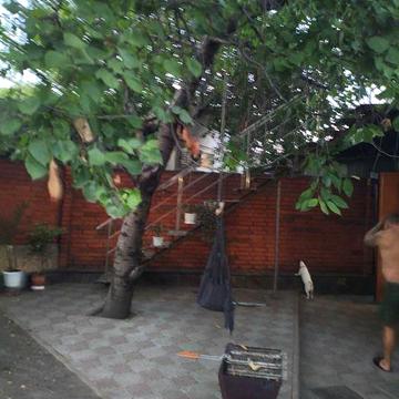 Продам дім центр Слободки/ эксклюзив,свій двір,гараж.