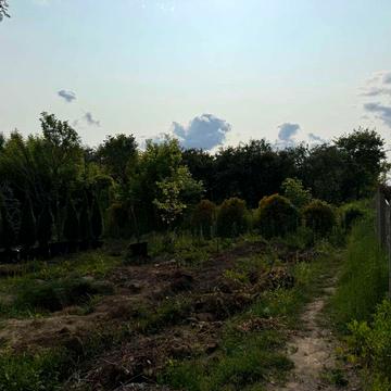 Гетьманська вул.