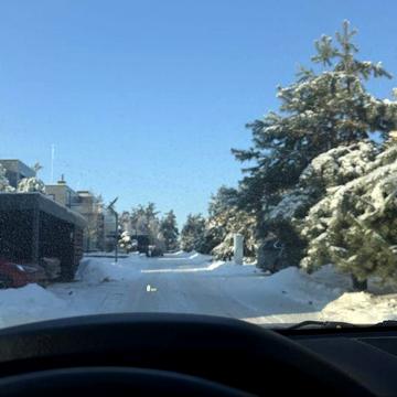 Закрите котеджне містечко Crystal Forest, Ходосівка, газ, електрика