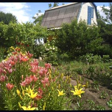 Продам дачу с.Розумівка