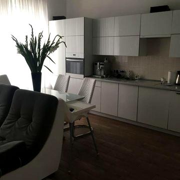 Власник. Сучасний будинок шукає свою ідеальну родину.