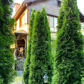 Продаж затишного БУДИНКУ з підвалом в с. Рожни, СТ "Трудовик" р. Десна