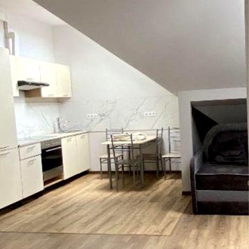 Квартира 1,5 кімнатна. Тварини можна. Центральна частина міста.