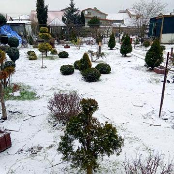 Сдам дом длительное