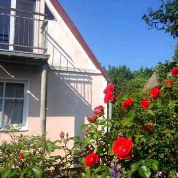 Продаж дачного будинка з ділянкою