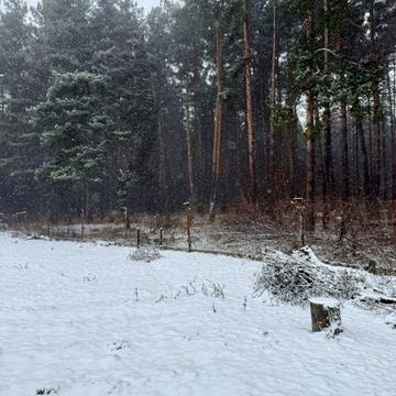 Продаж Дачі с. Куліші