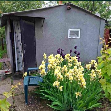 Продается Дом в Светлом!