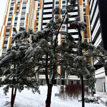 Квартира студія в центрі Ірпеня зданий будинок ЖК Фаворит Преміум