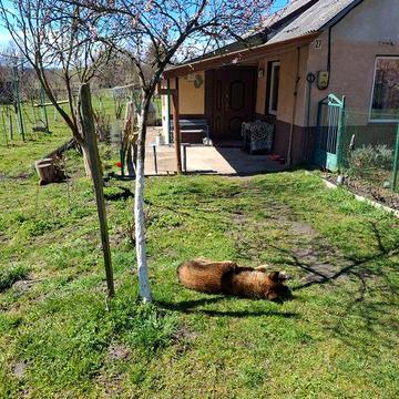 Будинок на продаж