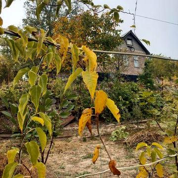 Дача, дачний будинок, дачний участок