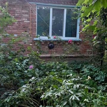 Здається хатинка в с. Пирогово