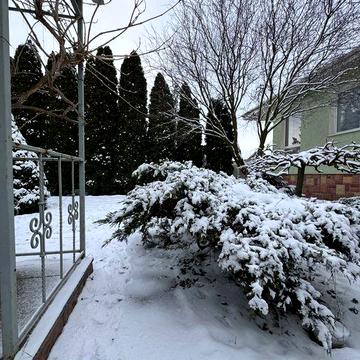 Продається якісний одноповерховий будинок, гостьовий будинок, ландшафт