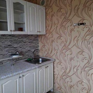 Здам 1 кімнатну на Митниці,можна з котиком