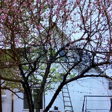 Продається будинок у центрі міста Переяслав