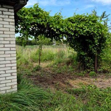 Продається дача Масив Машинобудівник