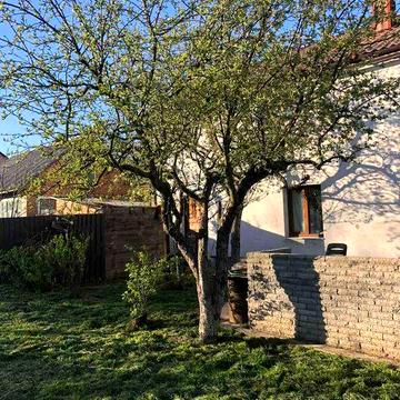 (8) Продам будинок на Барському шосе 2875