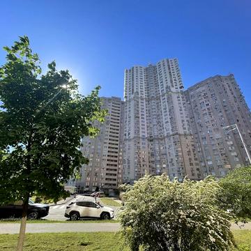 Княжий Затон вул., 21