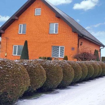 Продаж доброго будинку з великою ділянкою