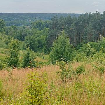 Путрівка, Фастівський, Київська область 21000.0 USD