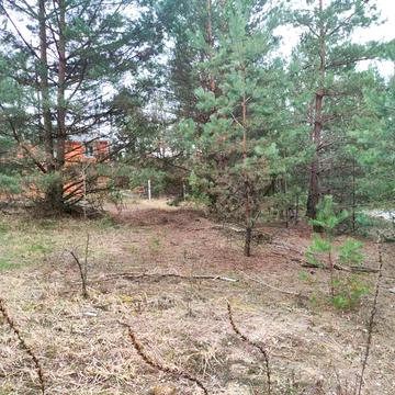 Велика Бугаївка, Обухівський, Київська область 13000.0 USD