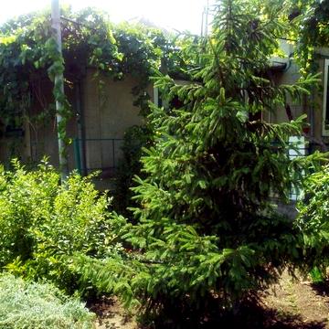 Каменярів вул.