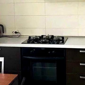 Оренда 2-х кім. квартири в центрі з газом метро Палац України