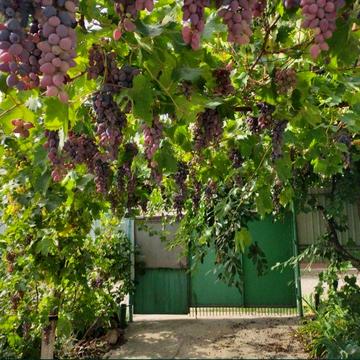 Будинок ( продаж, або ОБМІН НА АВТО  )