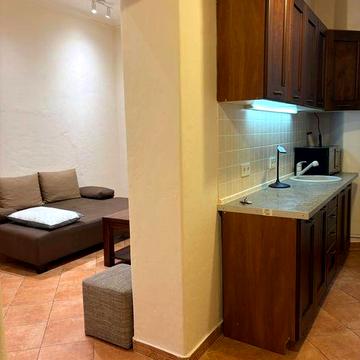 Оренда 1 кімнатної квартири в центрі Львова площа Ринок 38