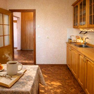 Персональний санаторій Велика однокімнатна квартира пр Лісовий,35