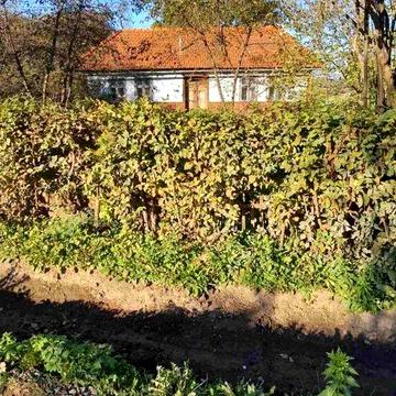 Продаж будинку за 8000$