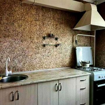 Аренда 2к квартиры Центр