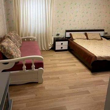 1-комнатная квартира на Академика Вильямса.