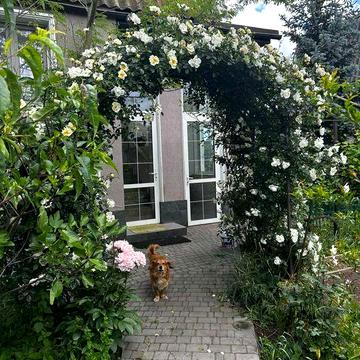 Продам дом в Сухом Лимане