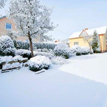 Добротний цегляний будинок з гаражем в ідеальному місці...