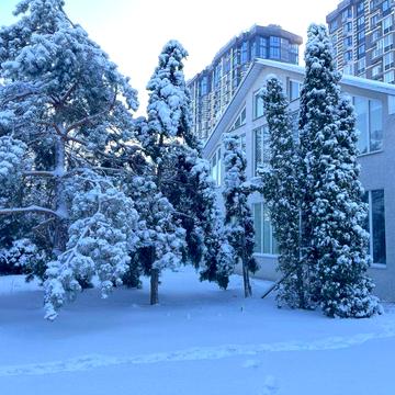Будинок з ремонтом  на ділянці 18 соток в центральній частині Бучі