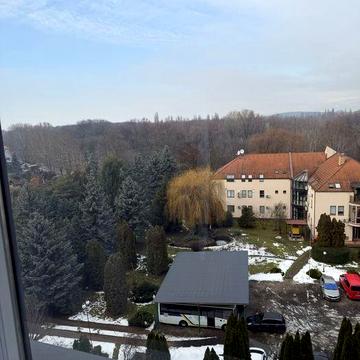 Оренда простороі 2 к квартири з видом на парк. Перша здача