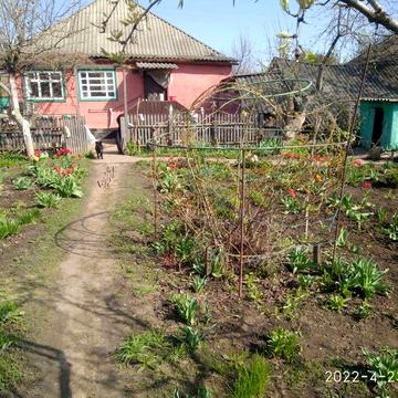 Продам дом в Печенегах с удобствами