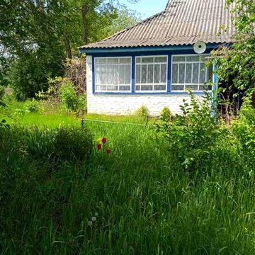 Будинок в селі Ціпки