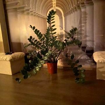 Аренда очень хорошей евротрешки ул. Левитана.