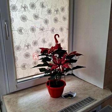 Квартира 1 кімнатна /Академічний/Вінниця ЖК Академічний