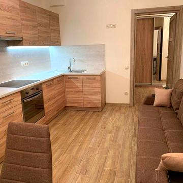 Оренда 1-к кв, 45 м2, вул. Урлівська, 23Г. Без комісії, власник