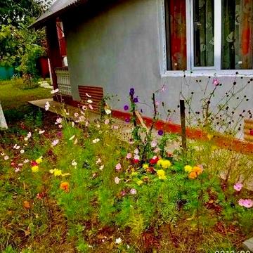 Продається капітальний будинок с. Мотовилівка.Піч,тепловий насос,ліс