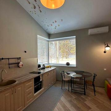 Новий будинок біля лісу на 6-ти сотках землі. Старі Петрівці