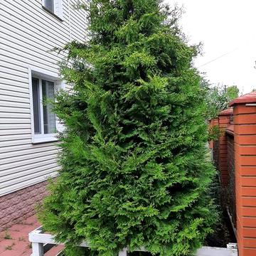 Будинок 164м2. Олександрівка