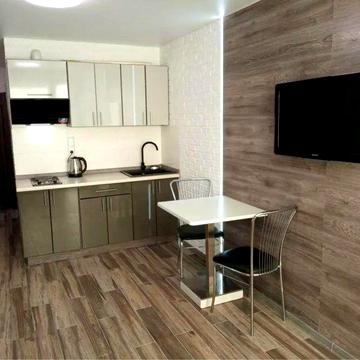 Оренда 1-к, Голосіївський район, метро Деміївська, пров. Лисогірський