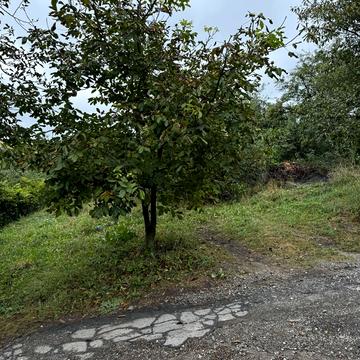 Книжківці, Хмельницький, Хмельницька область 6000.0 USD