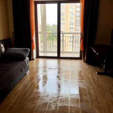 Однокімнатна квартира в Шампанському провулку