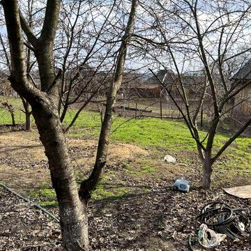 продам будинок Веселі Терни